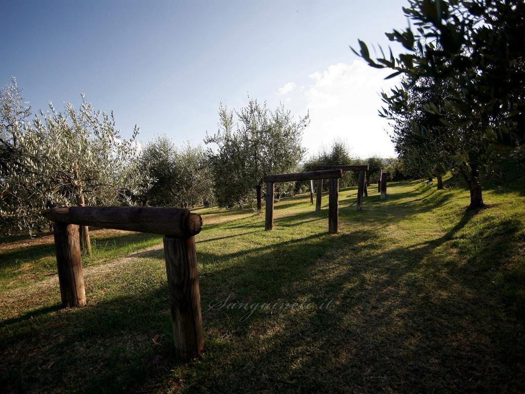 Agriturismo Sanguineto Acquaviva  Exterior foto