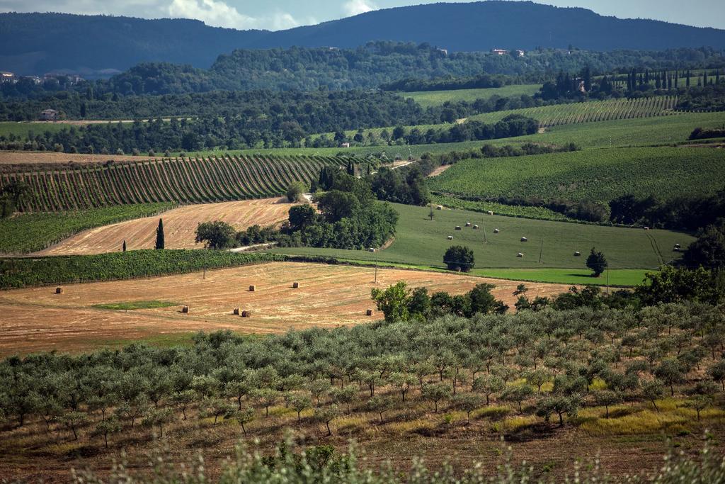 Agriturismo Sanguineto Acquaviva  Exterior foto