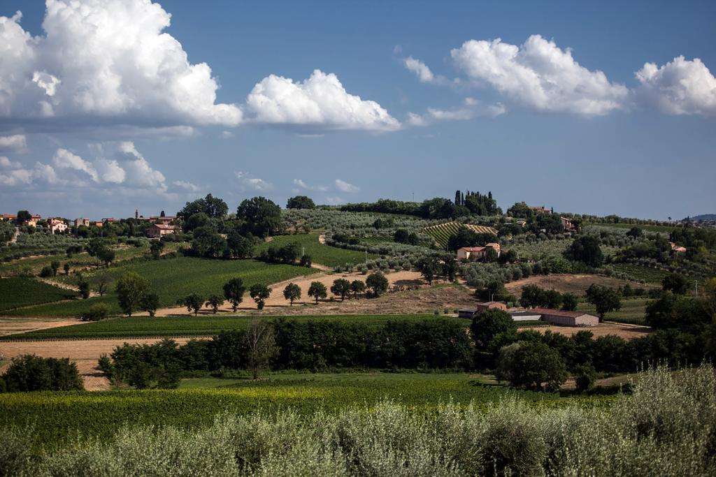 Agriturismo Sanguineto Acquaviva  Exterior foto